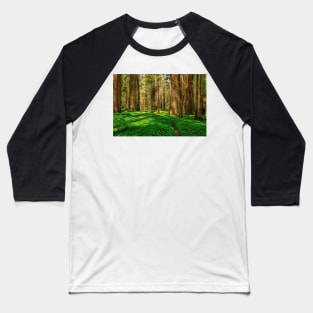 Redwood Forest Baseball T-Shirt